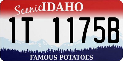 ID license plate 1T1175B