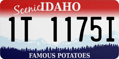 ID license plate 1T1175I