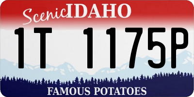 ID license plate 1T1175P