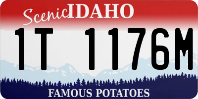 ID license plate 1T1176M