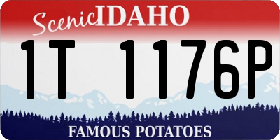 ID license plate 1T1176P