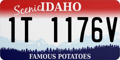 ID license plate 1T1176V