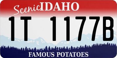 ID license plate 1T1177B