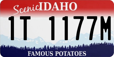 ID license plate 1T1177M