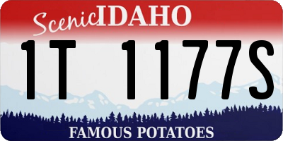 ID license plate 1T1177S