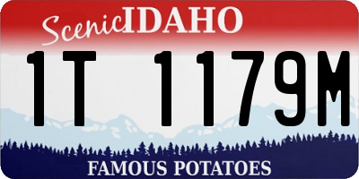ID license plate 1T1179M