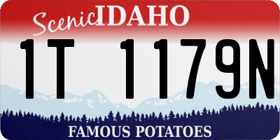 ID license plate 1T1179N