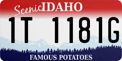 ID license plate 1T1181G