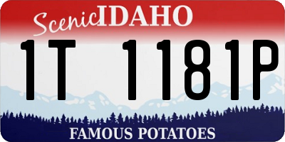 ID license plate 1T1181P