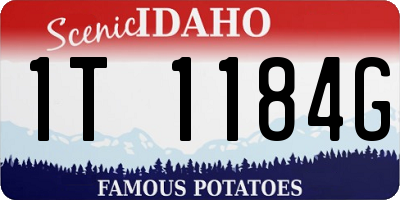 ID license plate 1T1184G