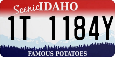 ID license plate 1T1184Y