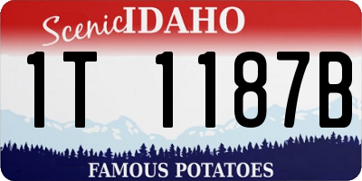 ID license plate 1T1187B