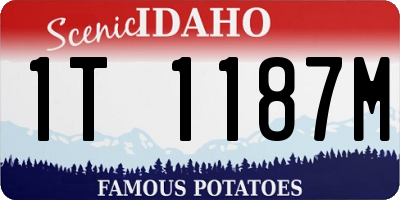 ID license plate 1T1187M