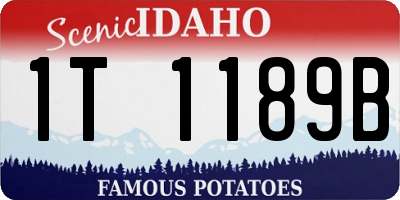ID license plate 1T1189B