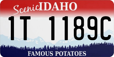 ID license plate 1T1189C