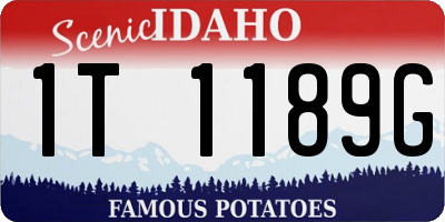 ID license plate 1T1189G