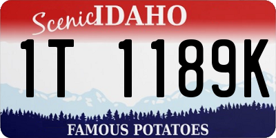 ID license plate 1T1189K