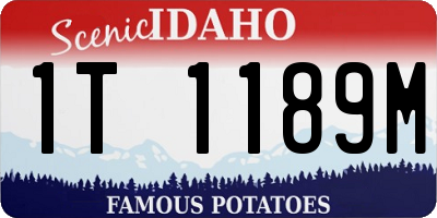 ID license plate 1T1189M