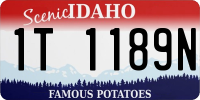 ID license plate 1T1189N