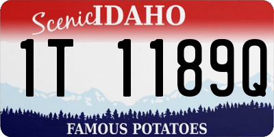 ID license plate 1T1189Q