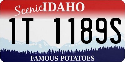 ID license plate 1T1189S