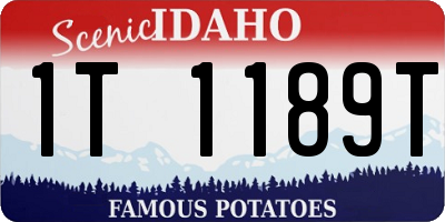 ID license plate 1T1189T