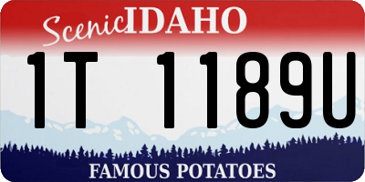 ID license plate 1T1189U