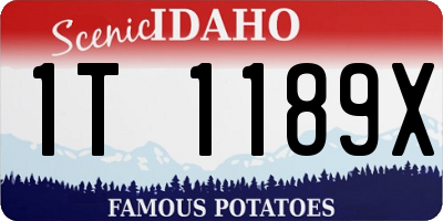 ID license plate 1T1189X