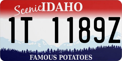 ID license plate 1T1189Z