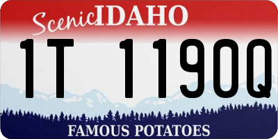 ID license plate 1T1190Q