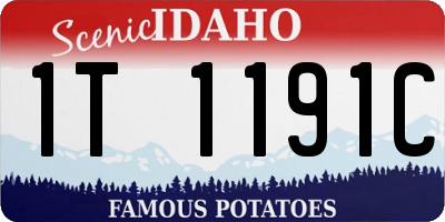ID license plate 1T1191C