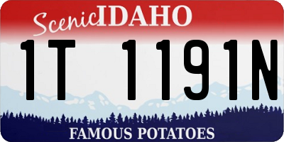 ID license plate 1T1191N