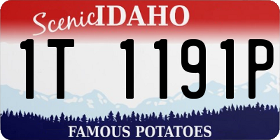 ID license plate 1T1191P