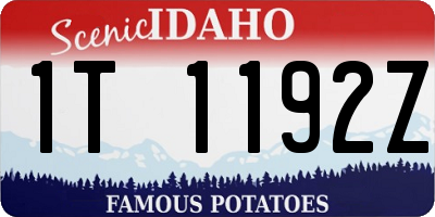 ID license plate 1T1192Z