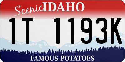 ID license plate 1T1193K