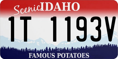 ID license plate 1T1193V