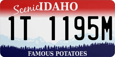 ID license plate 1T1195M