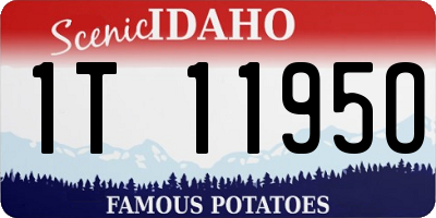 ID license plate 1T1195O