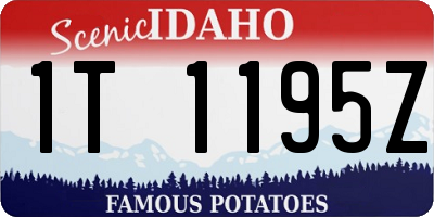ID license plate 1T1195Z