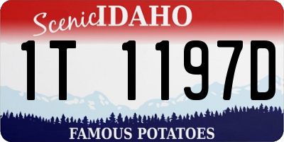 ID license plate 1T1197D