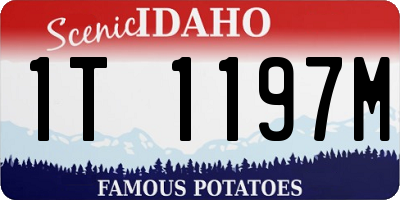 ID license plate 1T1197M