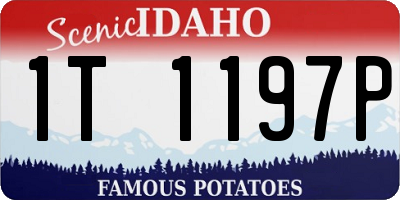 ID license plate 1T1197P