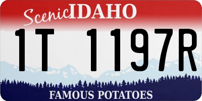 ID license plate 1T1197R