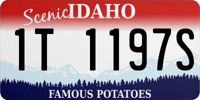 ID license plate 1T1197S