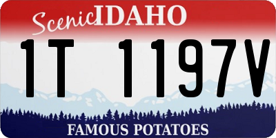 ID license plate 1T1197V