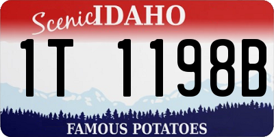 ID license plate 1T1198B