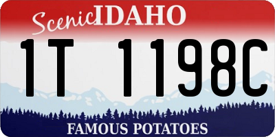 ID license plate 1T1198C