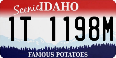 ID license plate 1T1198M