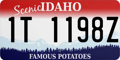 ID license plate 1T1198Z