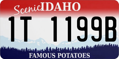 ID license plate 1T1199B